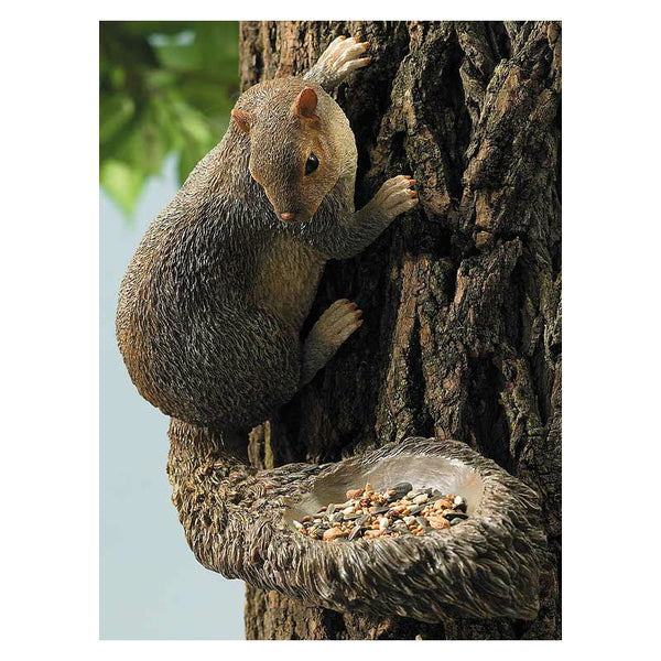 bushy tail squirrel bird feeder