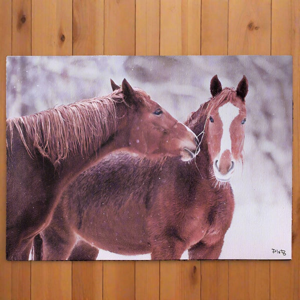 so in love horses canvas print