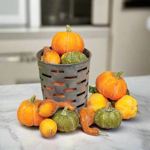 colorguard pumpkins and gourds 15 pk