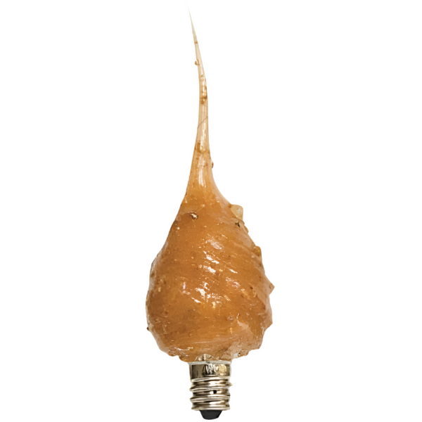 caramel apple scented 4 watt silicone bulb