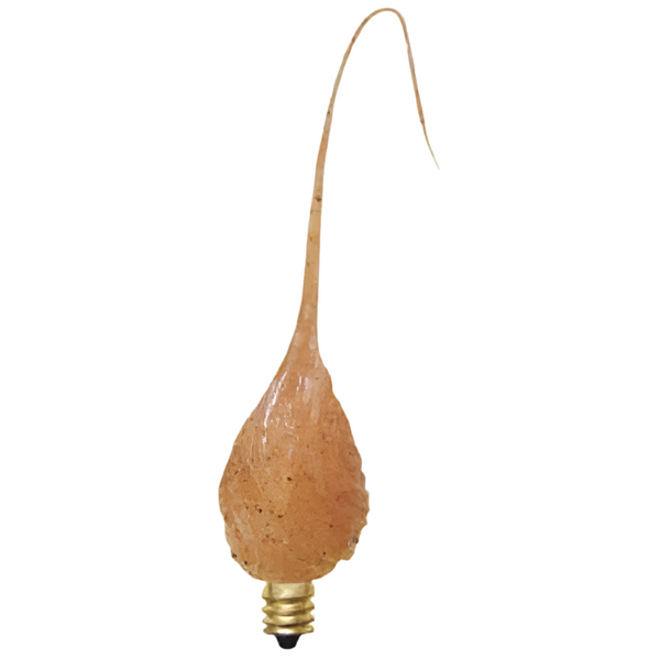 spice cake scented 4 watt silicone bulb