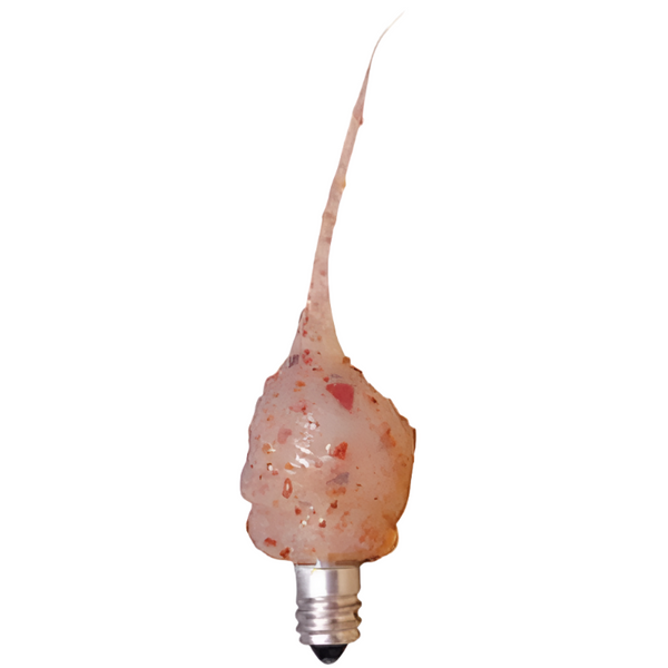 spicy rosehip moonscent 3 watt bulb