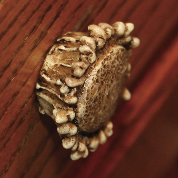 deer antler drawer or cabinet knob pulls