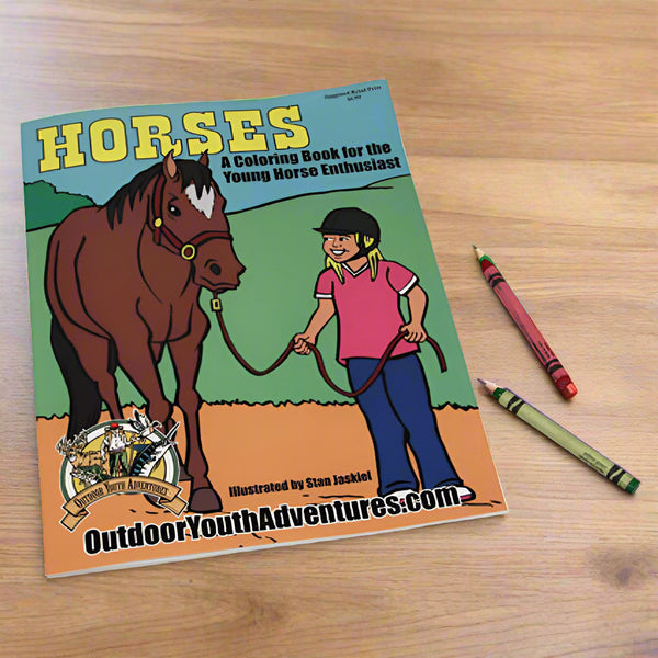 horses childrens coloring book