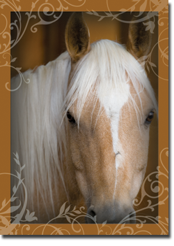 divine west horse inspirational greeting card friend