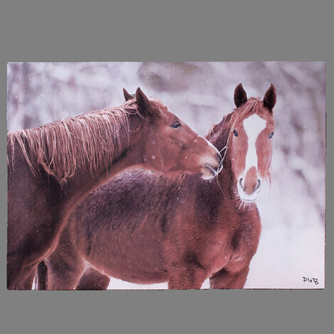 So In Love Horses Canvas Print