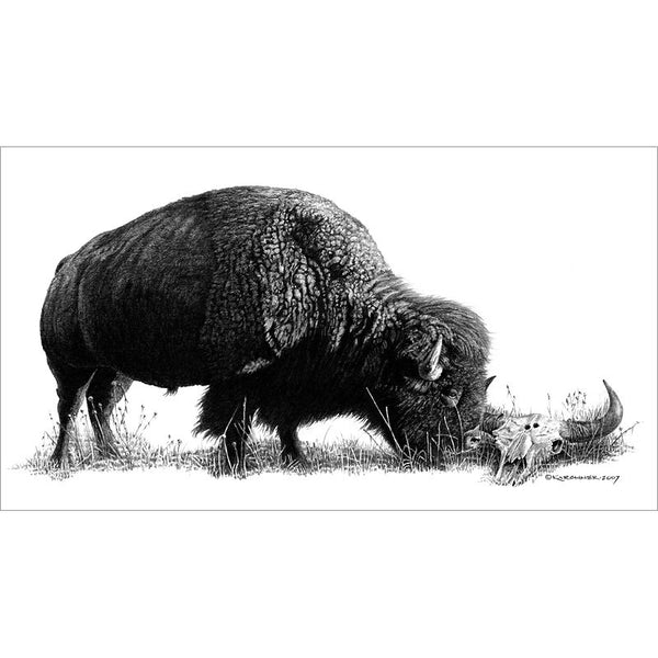 honoring the dead a pencil study of life and death