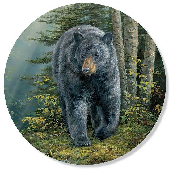 black bear ceramic coasters