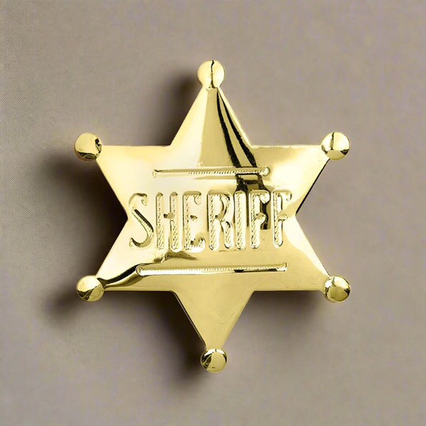 gold sheriff badge pin