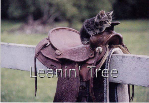 Leanin' Tree Cowboy Kitty Thinking of You Greeting Card