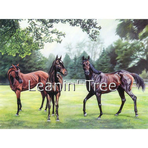 Leanin' Tree Horses Legacy Birthday Greeting Card