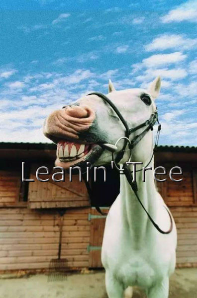 leanin tree smile its your birthday horse card