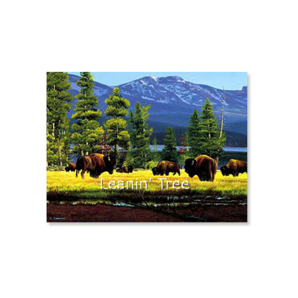 leanin tree yellowstone solitude buffalo birthday card