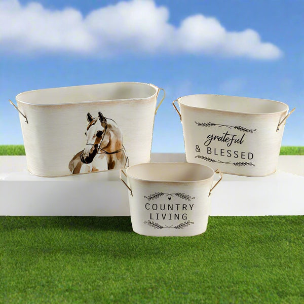 up country horse galvanized planters
