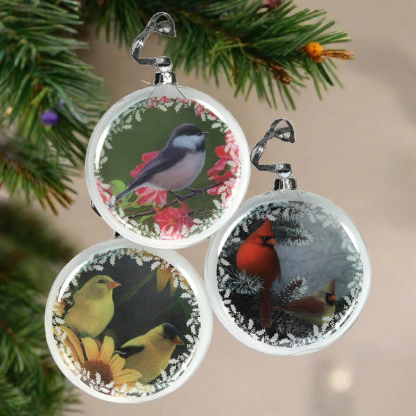 glass bird christmas ornaments set of 3