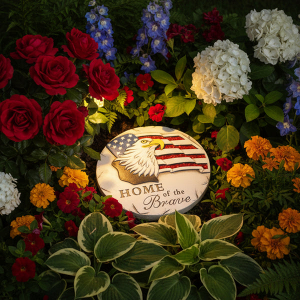 home of the brave eagle stepping stone