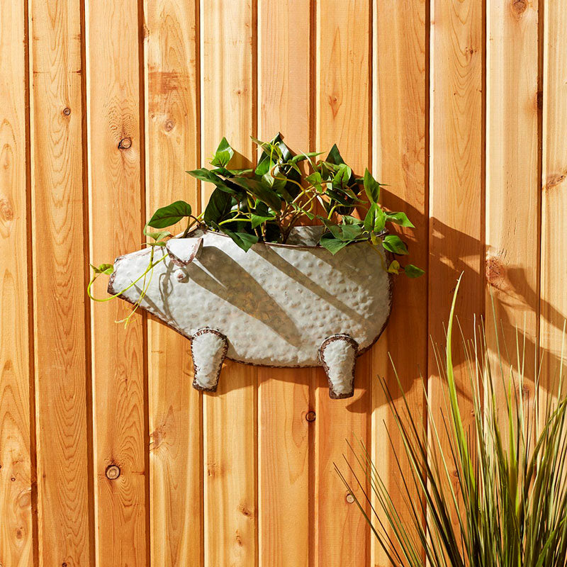 galvanized hanging wall planter Pig Galvanized Wall Planter