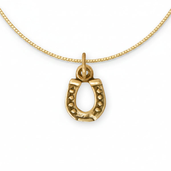 lucky horseshoe charm