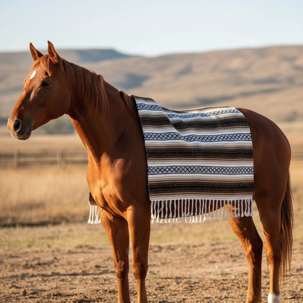 fringed falsa blanket