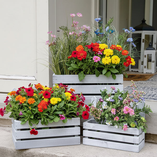 white wooden picket planter boxes