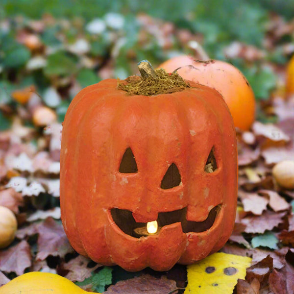 paper mache jack-o-lantern luminary