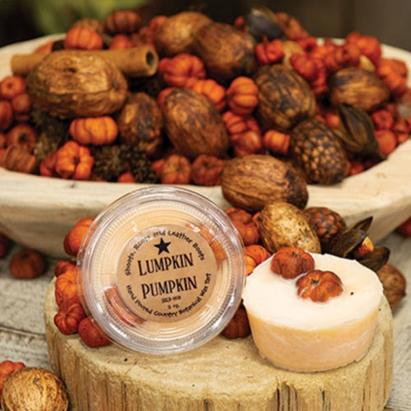 lumpkin pumpkin botanical wax tart