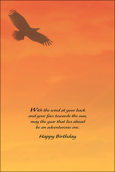 leanin tree indian brave with the wind at your back birthday card