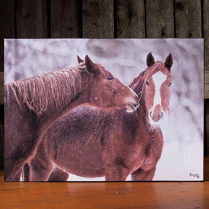 so in love horses canvas print