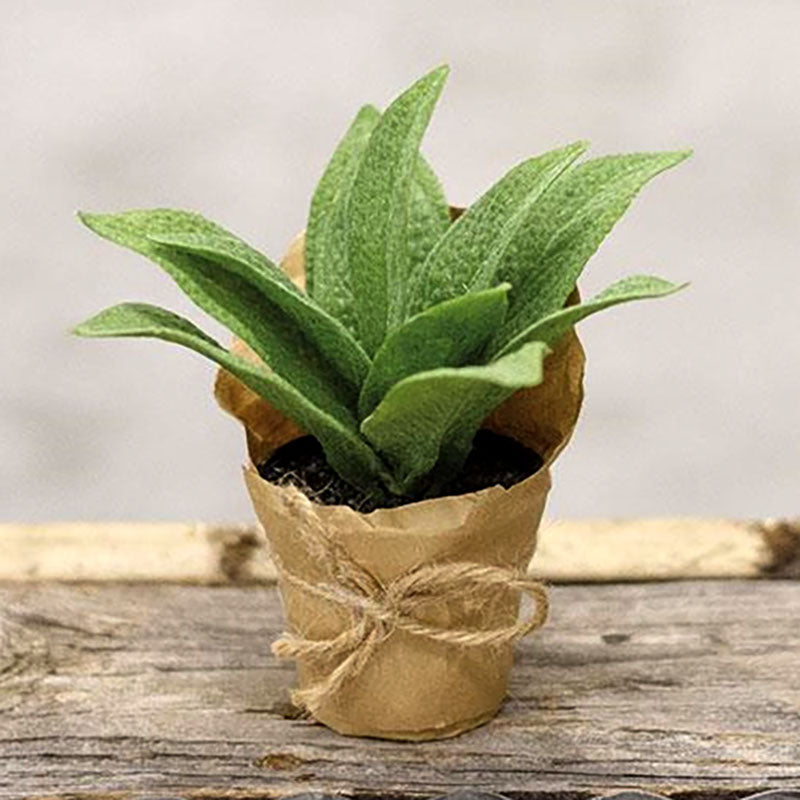 paper potted plants cowslip