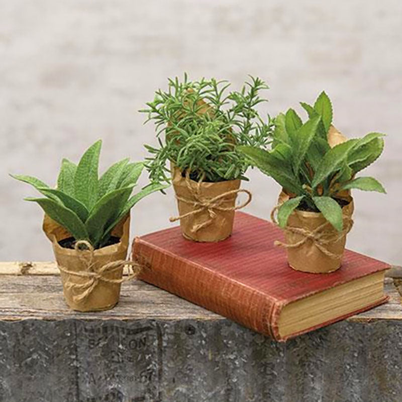 paper potted plants