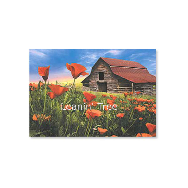 leanin tree barn in poppies all occasion card