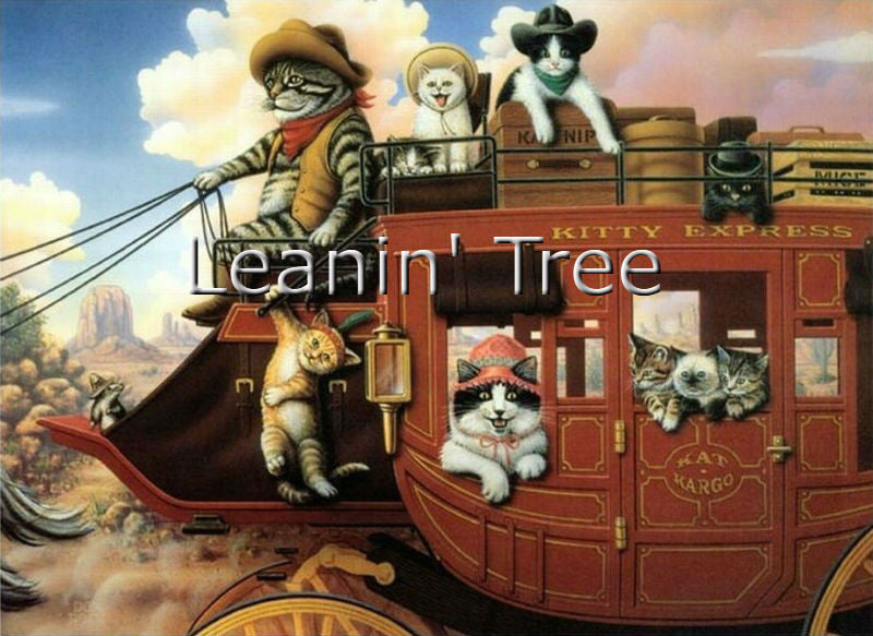 leanin tree kitty express birthday card