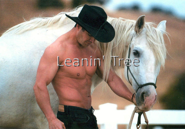 leanin tree you love horses birthday card