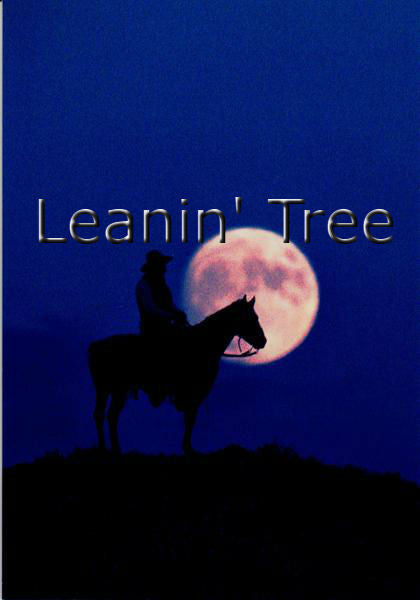 leanin tree midnight cowboy birthday greeting card
